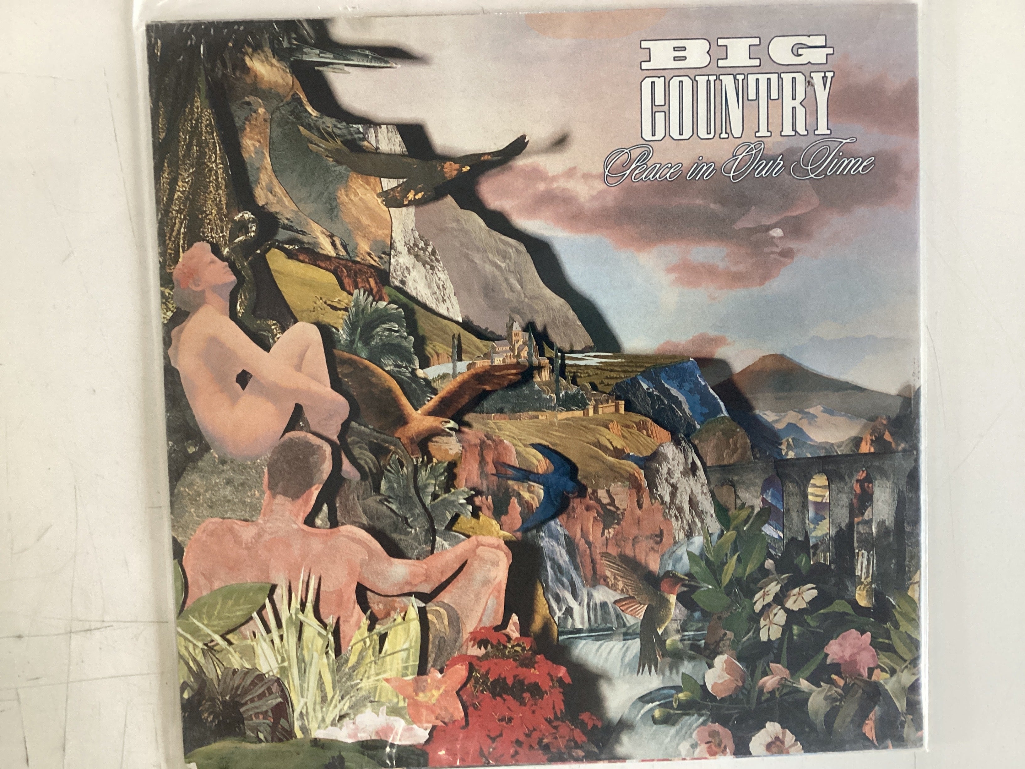 BIG COUNTRY = PEACE IN OUR TIME (CDA 1988) (USED) – Legend Records ...