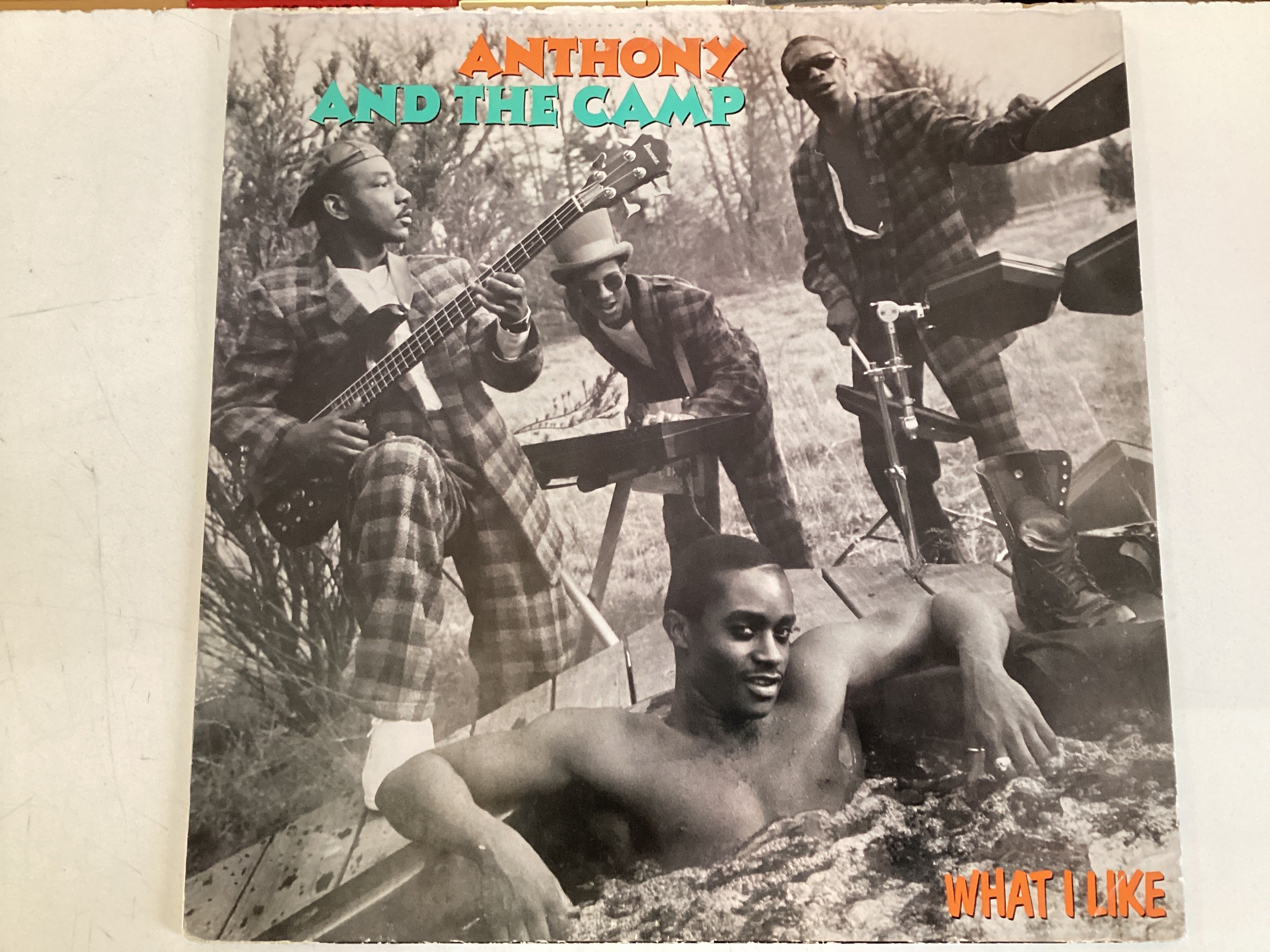ANTHONY AND THE CAMP = WHAT I LIKE (USA 1986) (USED)