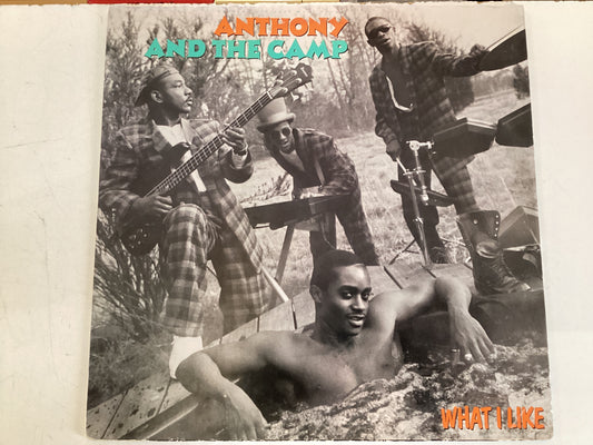 ANTHONY AND THE CAMP = WHAT I LIKE (USA 1986) (USED)