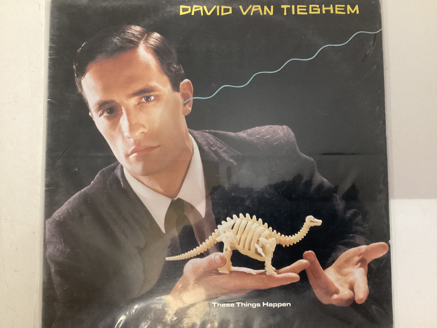 VAN TIEGHEM, DAVID = THESE THINGS HAPPEN (CDA 1984) (USED)