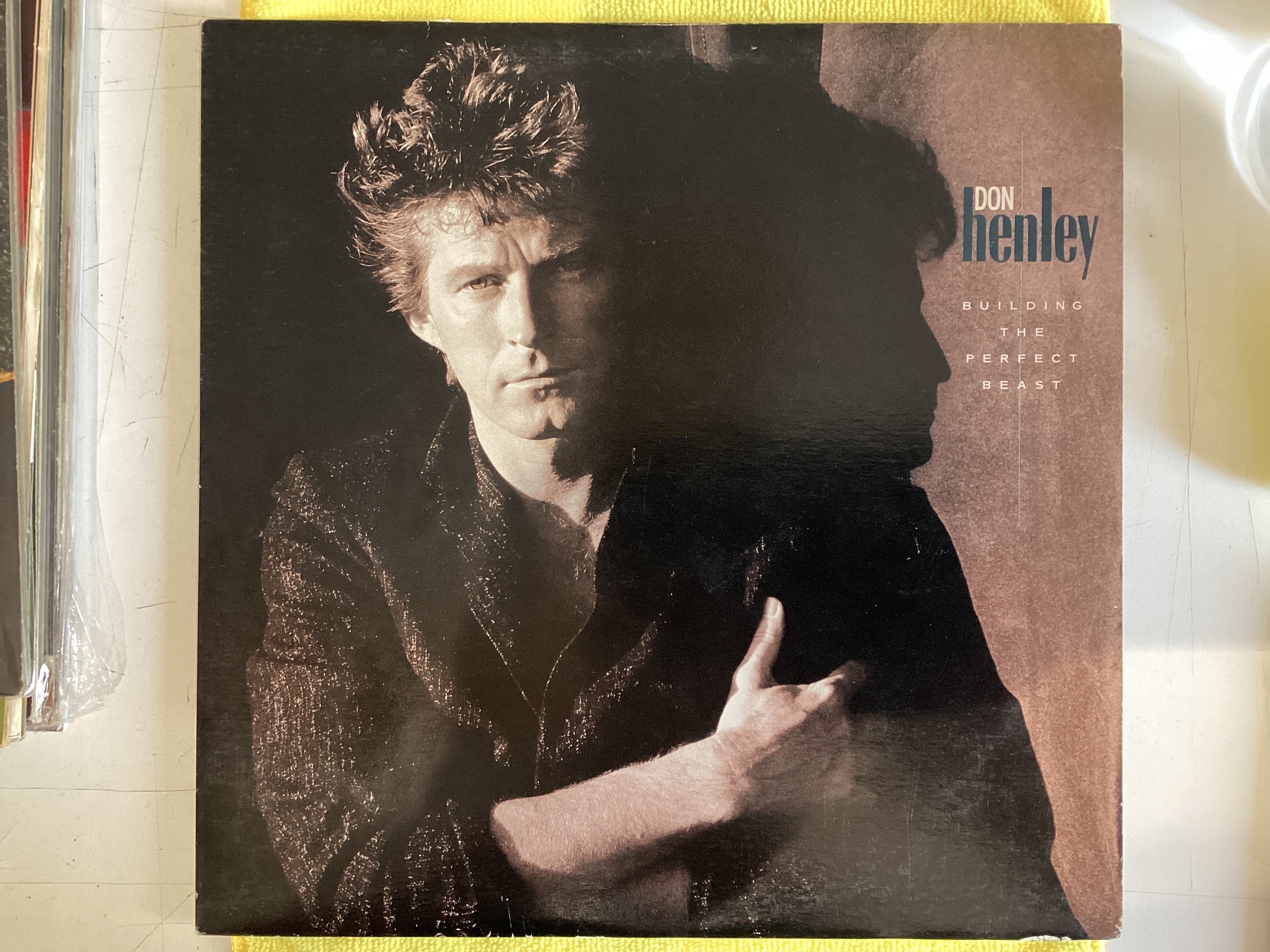 HENLEY, DON = BUILDING THE PERFECT BEAST (CDN 1984) (USED)