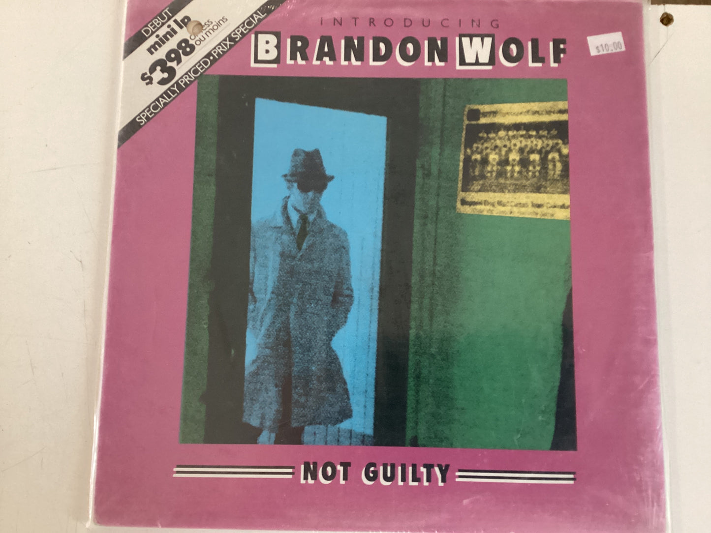 INTRODUCING BRANDON WOLF = NOT GUILTY (CDA 1980) (USED)
