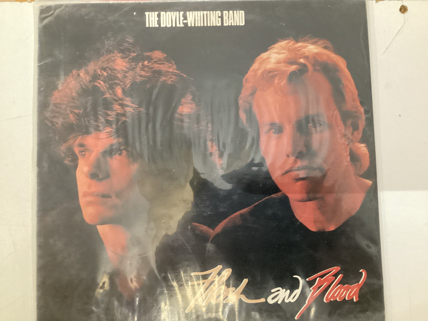 THE DOYLE-WHITING BAND = FLESH AND BLOOD (USA 1986) (USED)