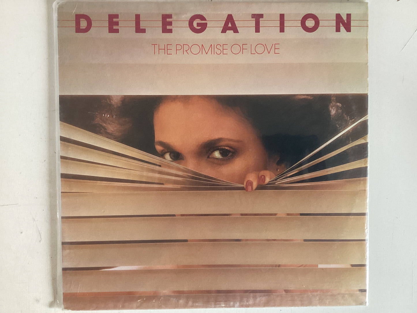 DELEGATION = THE PROMISE OF LOVE (CDA 1977) (USED)