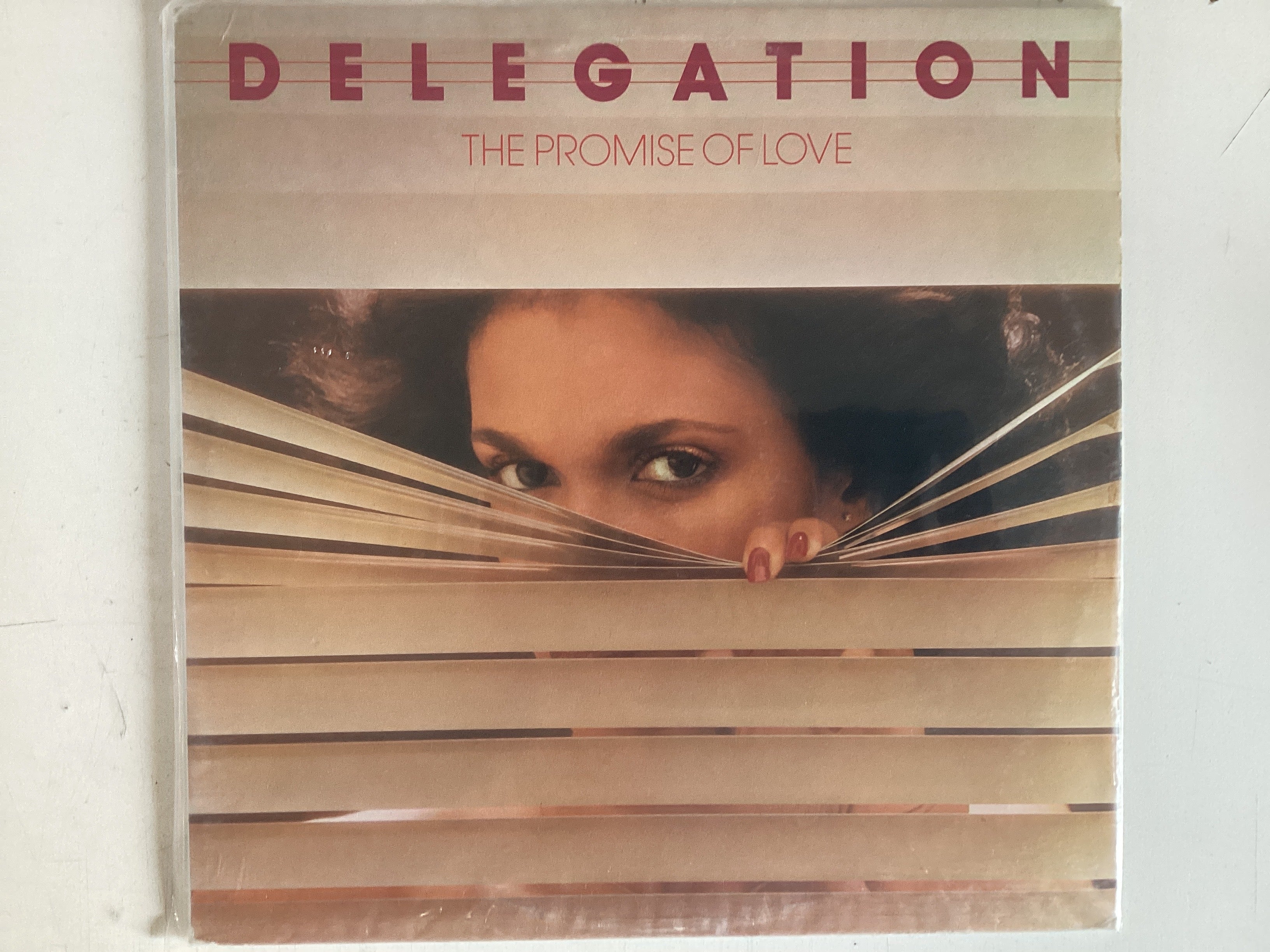 DELEGATION = THE PROMISE OF LOVE (CDA 1977) (USED)