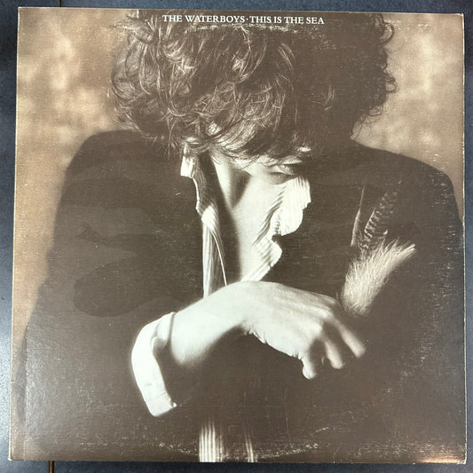 WATERBOYS = THIS IS THE SEA (CDN 1985) (USED)