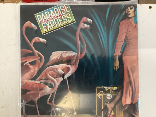 PARADISE EXPRESS = SELF TITLED (USA 1978) (USED)