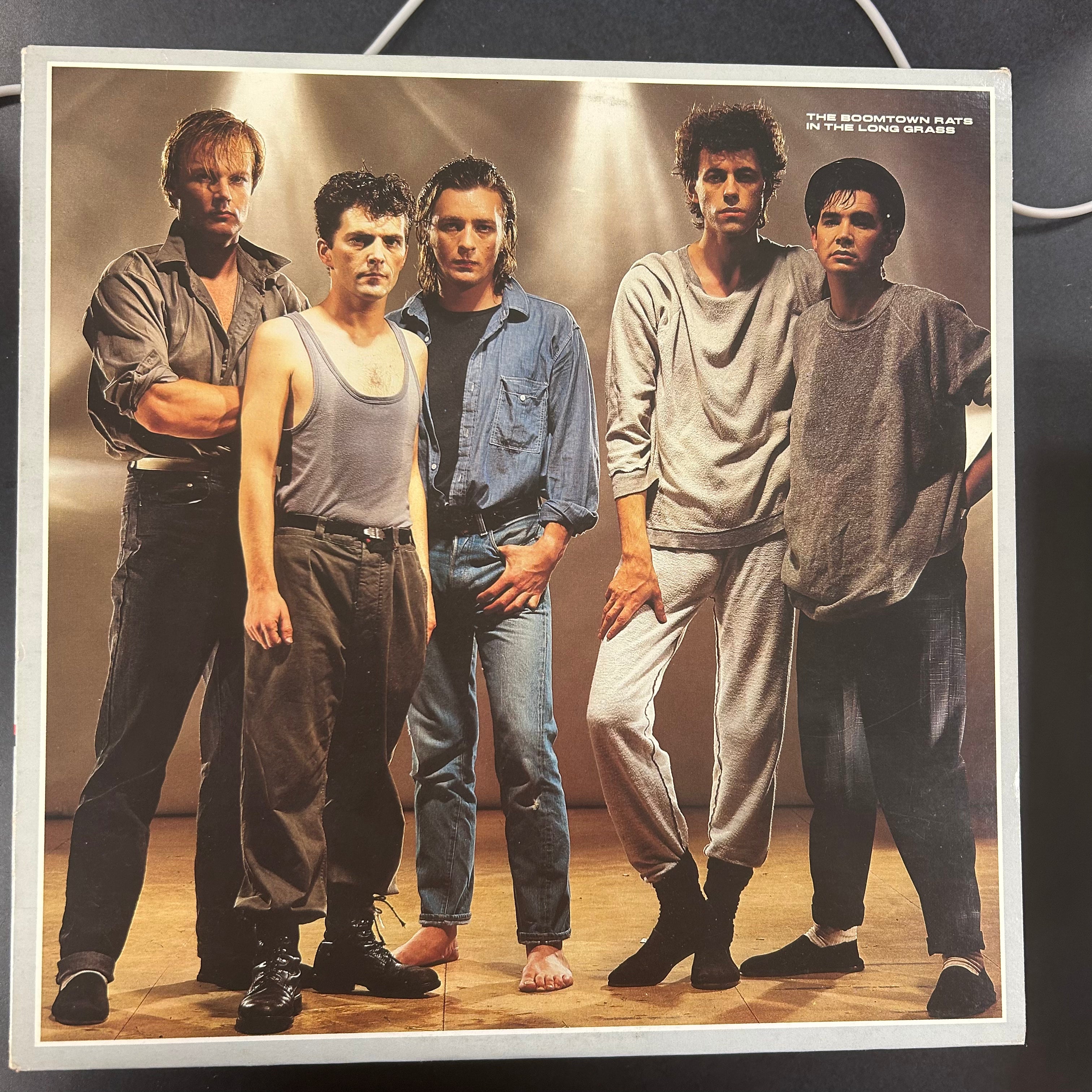 BOOMTOWN RATS = IN THE LONG GRASS (CDN 1984) (USED)
