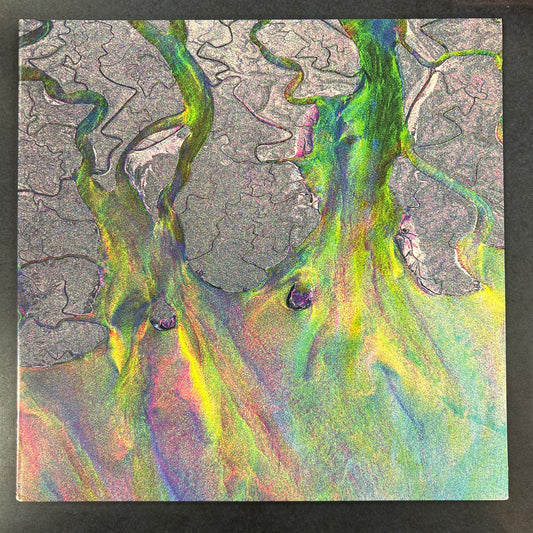 ALT-J = AN AWESOME WAVE (US 2012) (USED)