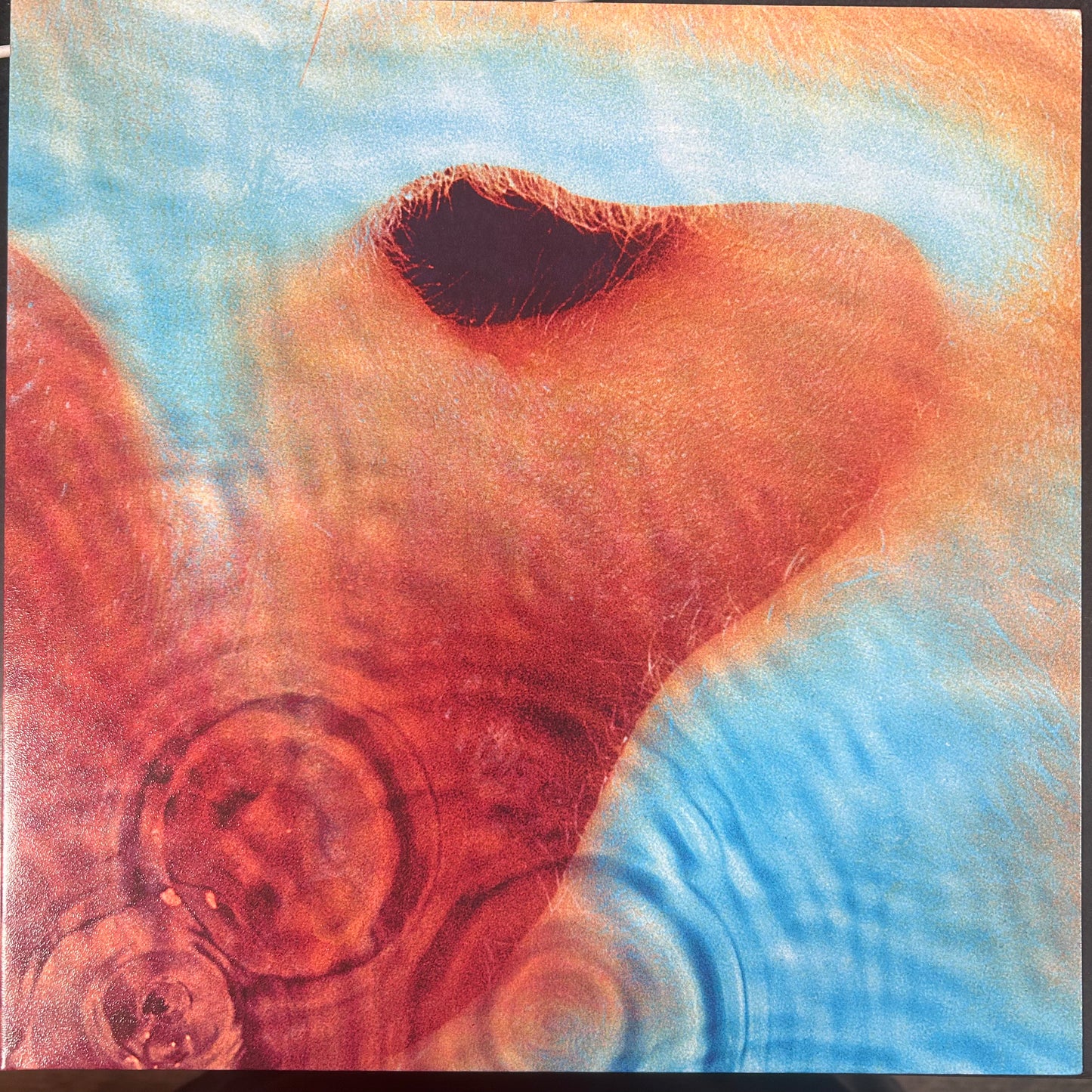 PINK FLOYD = MEDDLE (US 2016 REISSUE) (USED)