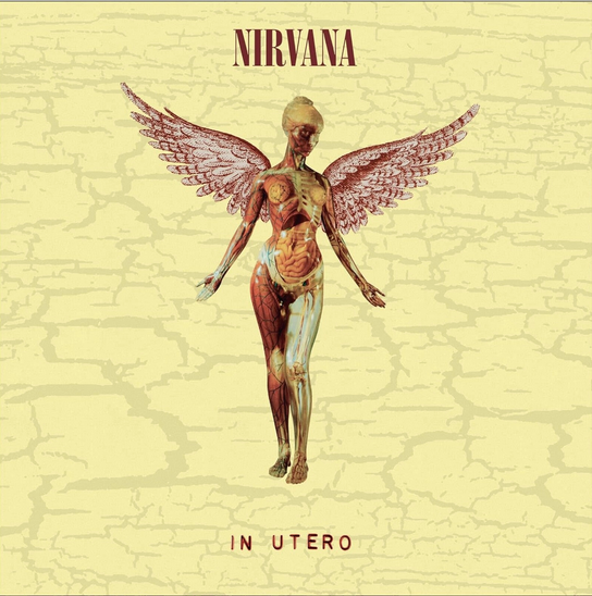 NIRVANA = IN UTERO: 30TH ANN. (LP + 10 IN./180G)