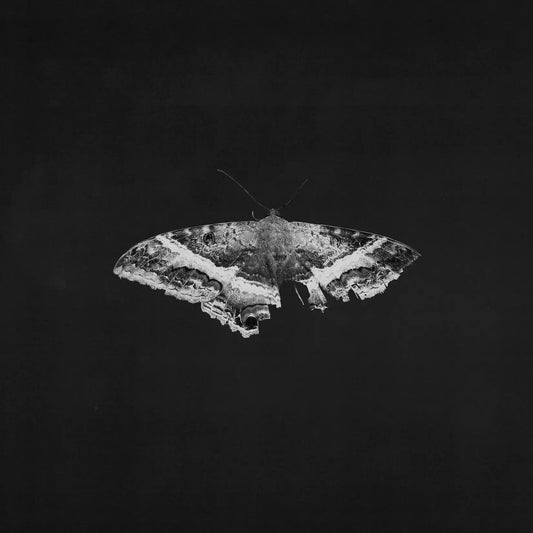 LAMAR, KENDRICK = TO PIMP A BUTTERFLY: 10TH ANN. (2LP/180G)