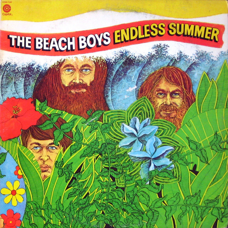 BEACH BOYS = ENDLESS SUMMER /2LP