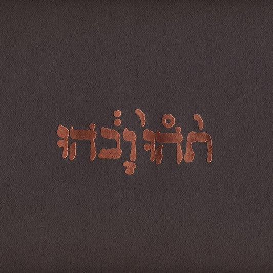 GODSPEED YOU BLACK EMPEROR = SLOW RIOT FOR NEW ZERO KANADA EP (180G)