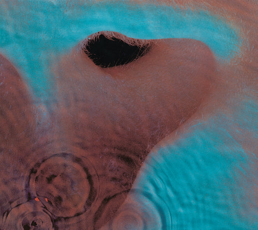 PINK FLOYD = MEDDLE (180G)