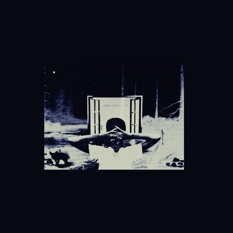 EARL SWEATSHIRT = I DON'T LIKE SHIT, I DON'T GO OUTSIDE