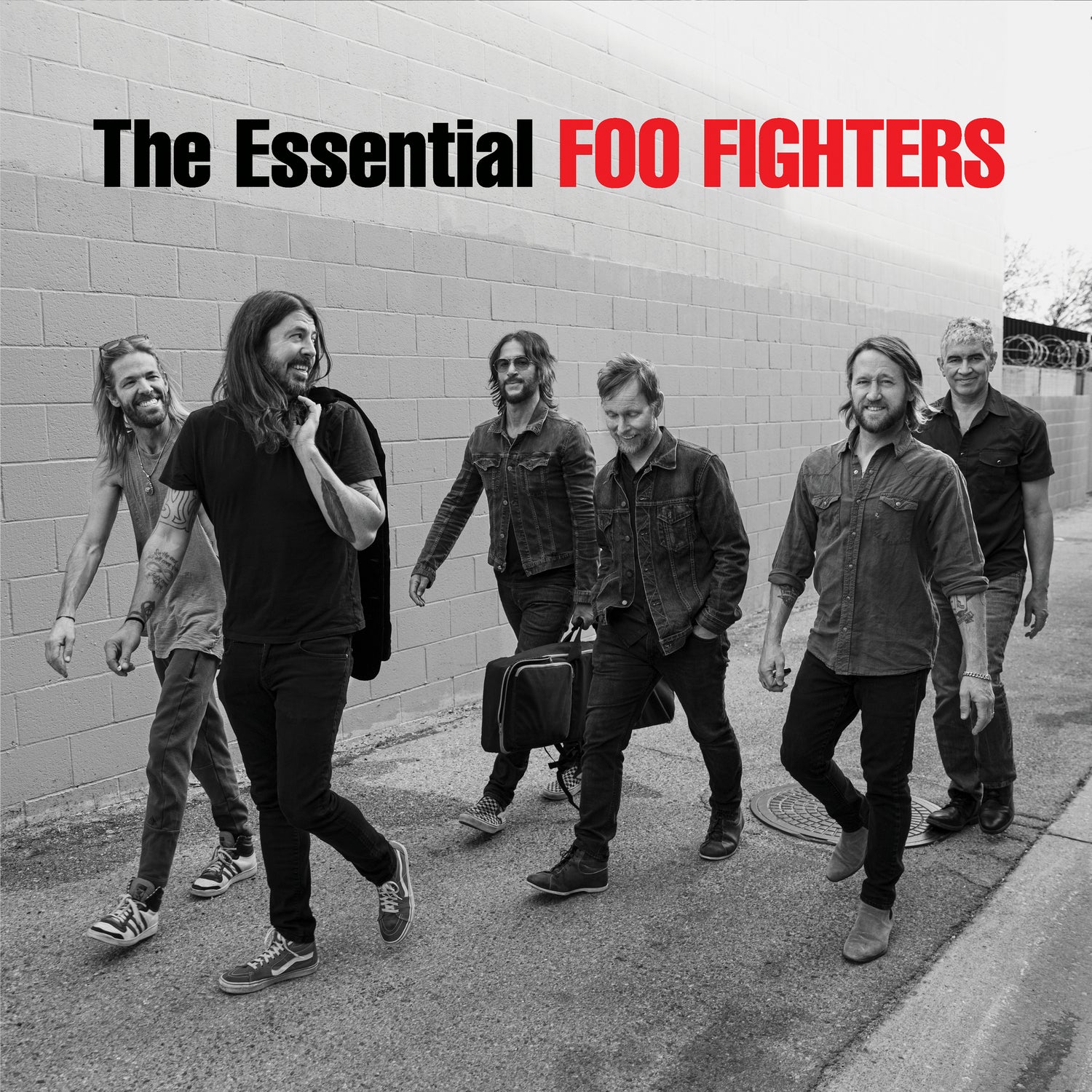 FOO FIGHTERS = ESSENTIAL (2LP/180G)
