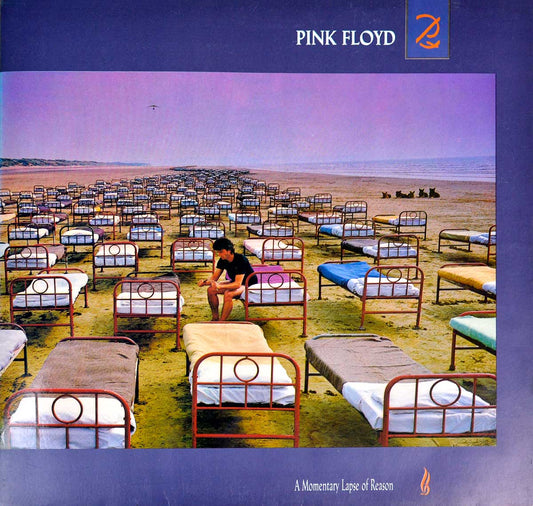 PINK FLOYD = MOMENTARY LAPSE OF REASON (180G)