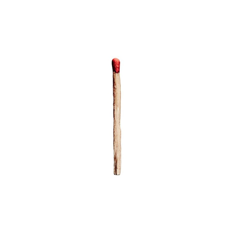 RAMMSTEIN = RAMMSTEIN (2019) /2LP