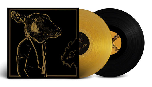 SHAKEY GRAVES = ROLL THE BONES X /2LP (INDIE)