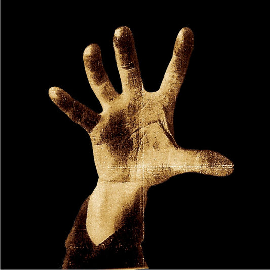 SYSTEM OF A DOWN = SYSTEM OF A DOWN (180G)